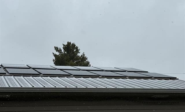 202601920-469d2de2-c0ff-4125-b783-e2684dba35ad