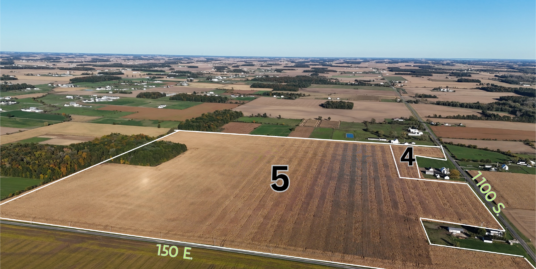 Canva 4 5